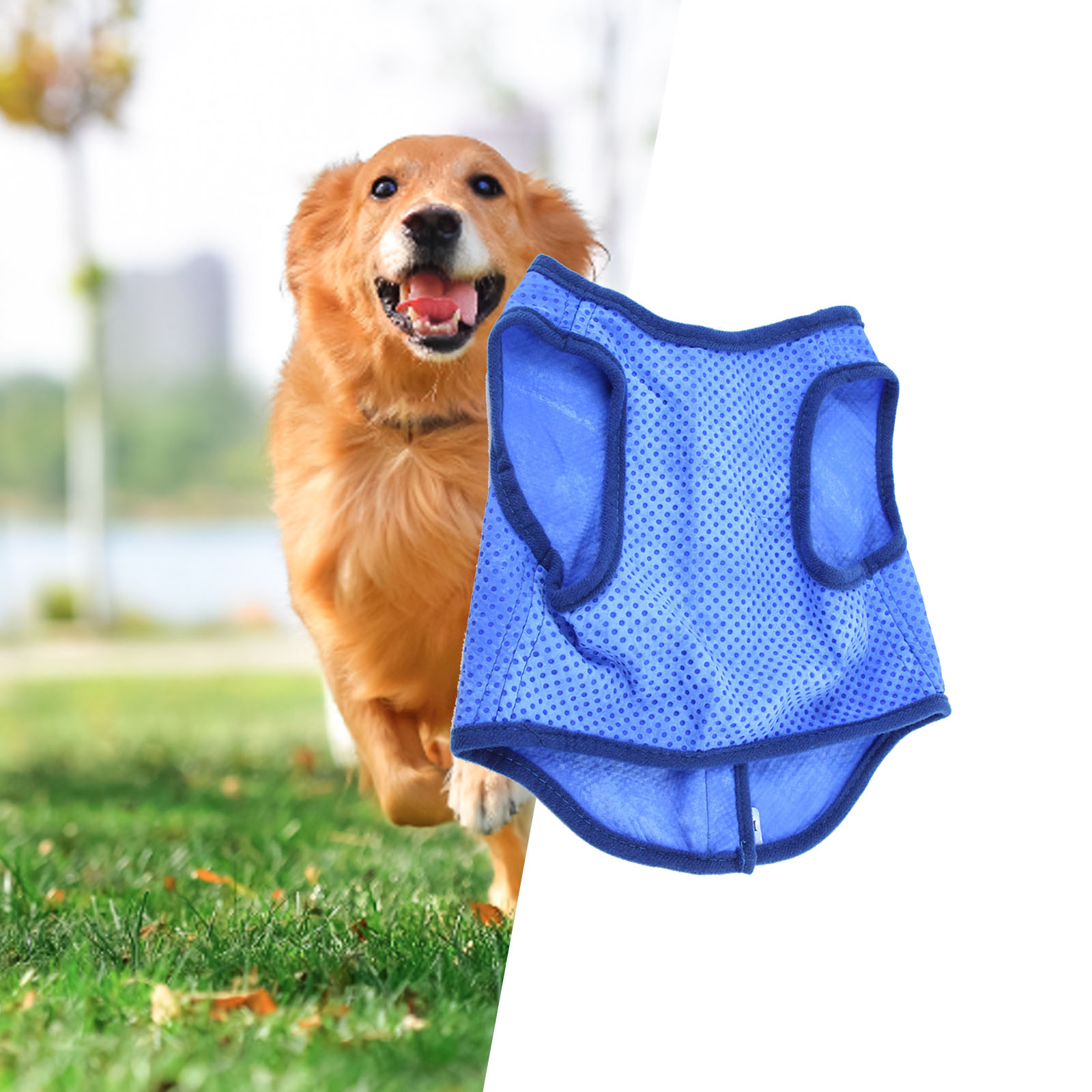 Dog Cooling Vest Breathable Su - đánh giá và giá Outdoor Sport Coat