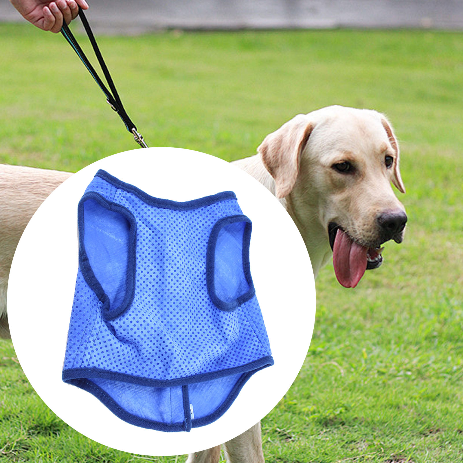 Dog Cooling Vest Breathable Su - đánh giá và giá Outdoor Sport Coat