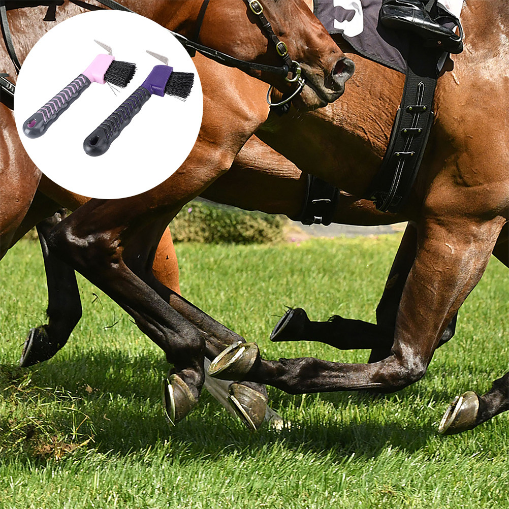 2Pcs Horse Hoof Pick Brush Rel - đánh giá và giá Brushing Boot Horse