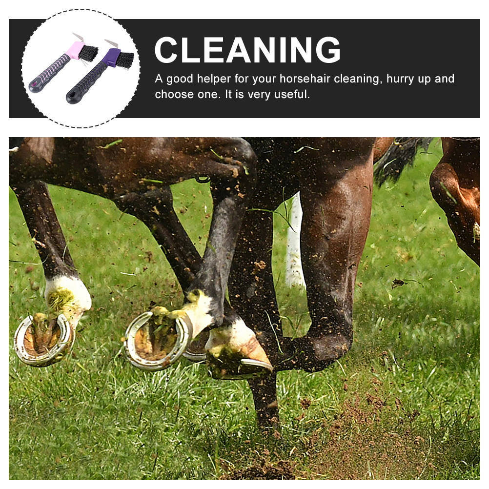 2Pcs Horse Hoof Pick Brush Rel - đánh giá và giá Brushing Boot Horse