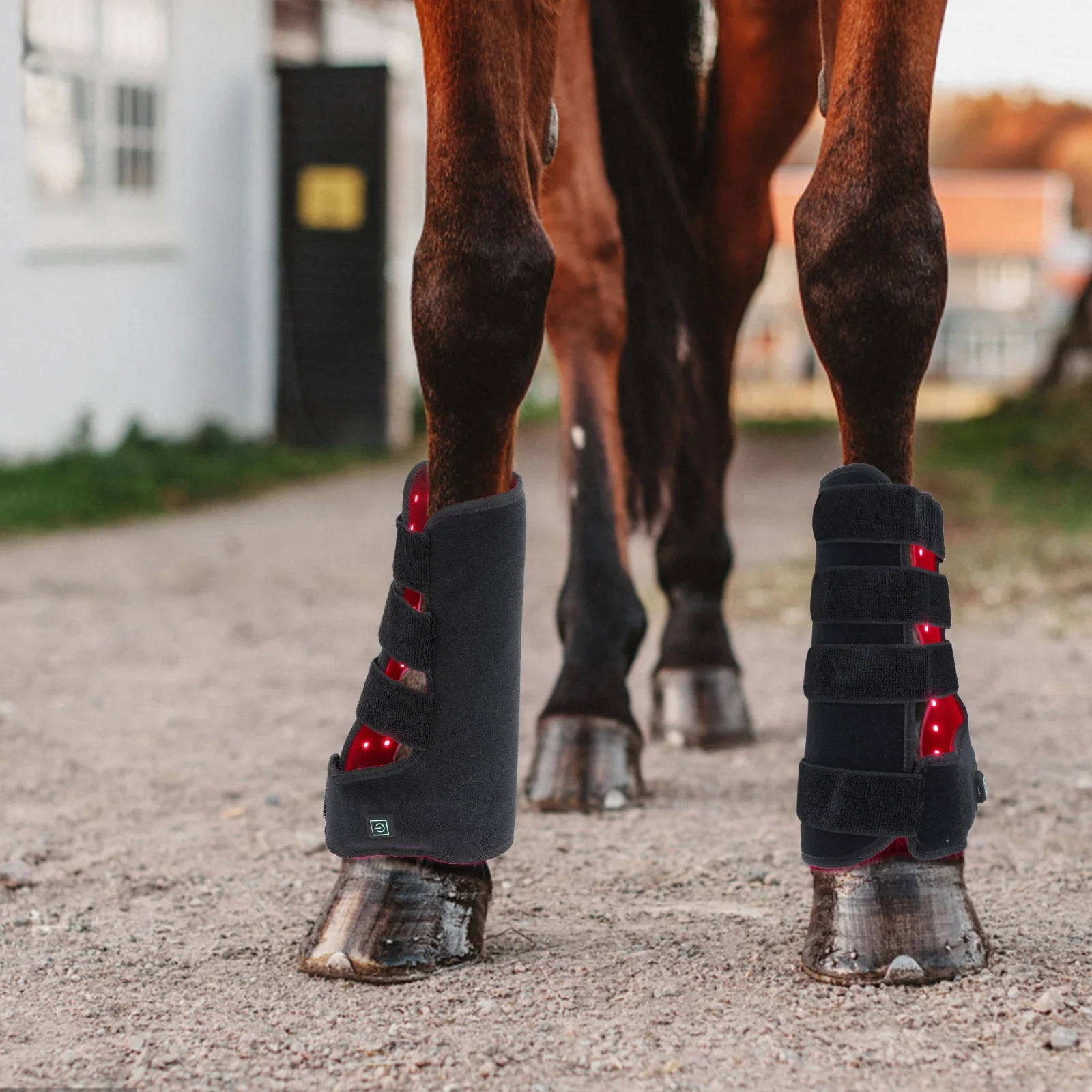New 660nm 850nm Red light ther - đánh giá và giá Brushing Boot Horse