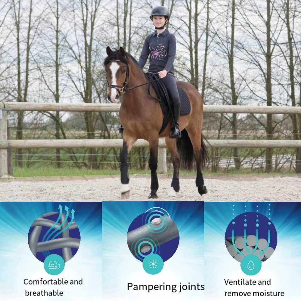 4pcs/set Colorful Horse Sport  - đánh giá và giá Brushing Boot Horse