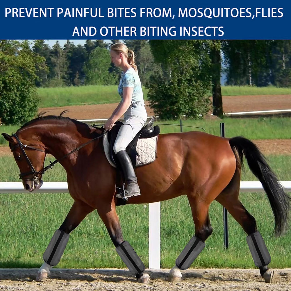 4Pcs Mesh Fly Boots For Horses - đánh giá và giá Brushing Boot Horse