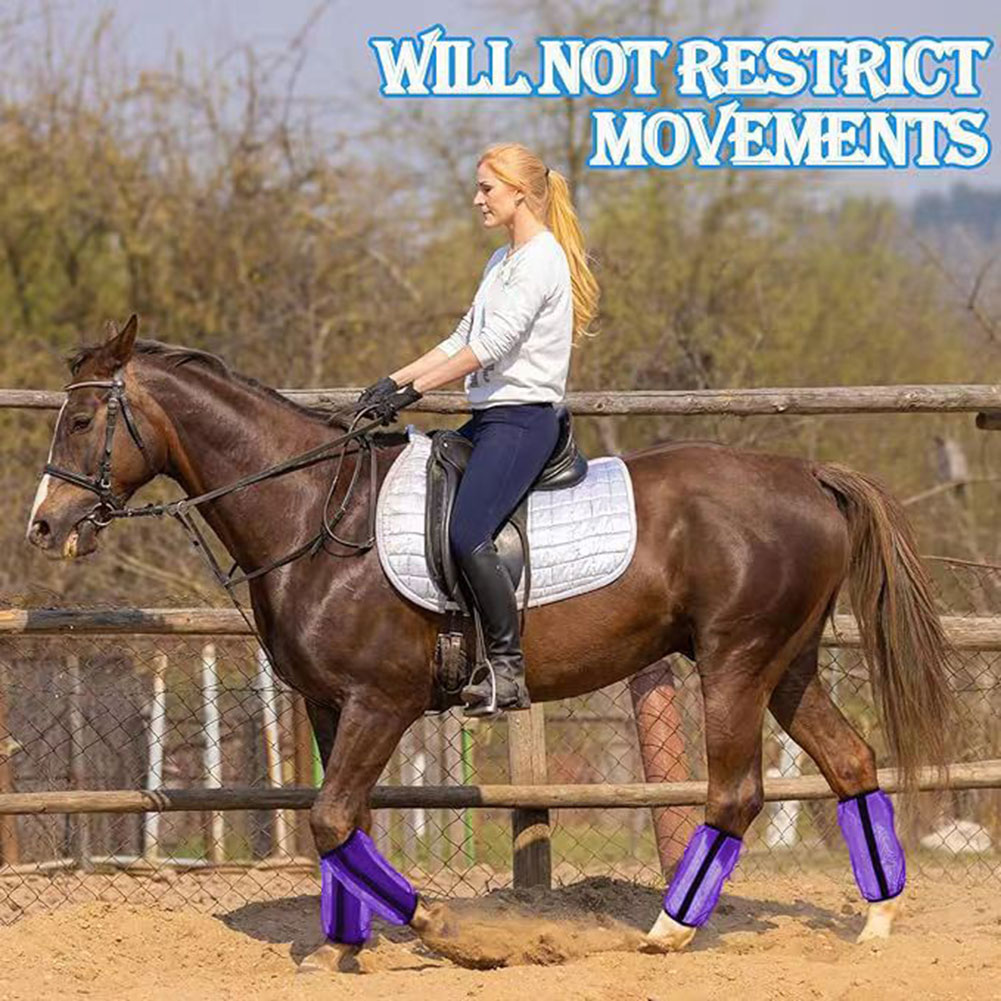 4Pcs Mesh Fly Boots For Horses - đánh giá và giá Brushing Boot Horse